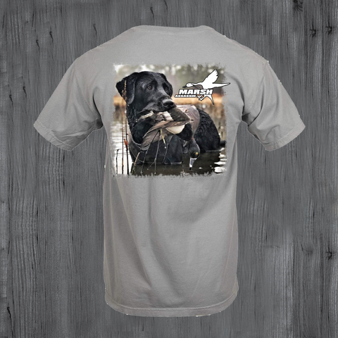 Jake Short Sleeve-Grey