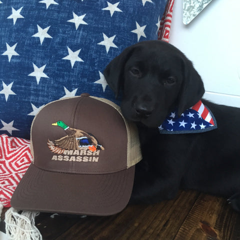 Brown/Khaki Mallard SnapBack